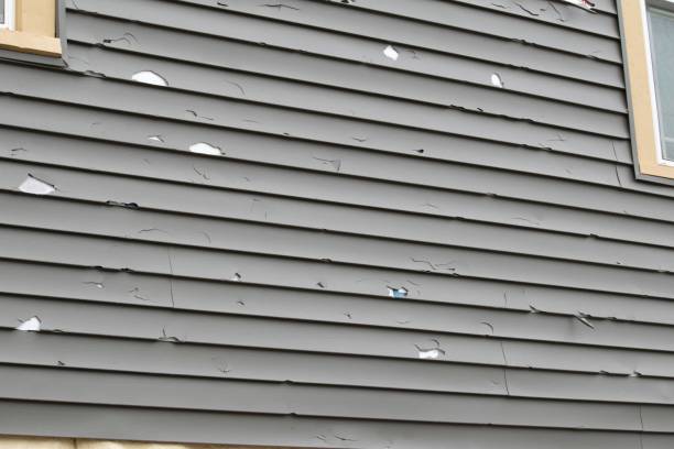 Best Fiber Cement Siding Installation  in South Daytona, FL